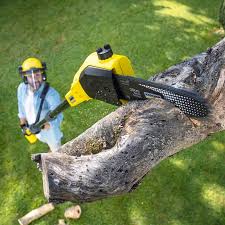 Best Utility Line Clearance  in Preakness, NJ
