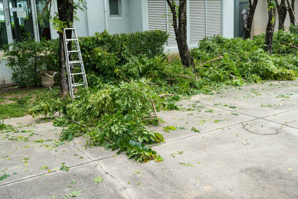 Best Leaf Removal  in Preakness, NJ