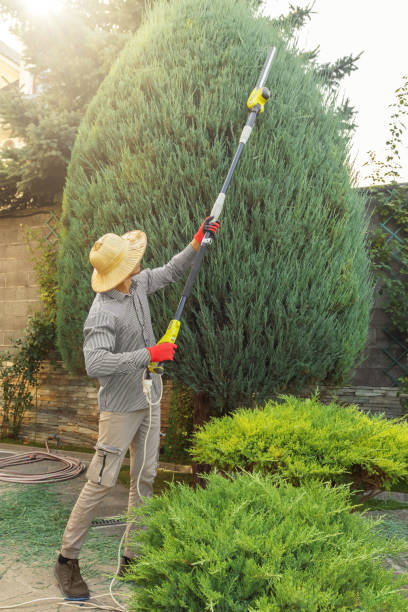 Best Hedge Trimming  in Preakness, NJ